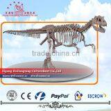 Museum Dinosaur Fossil Model thumbnail-1