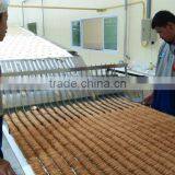 CE Approved KH-1000 Biscuit Making Machine Industrial