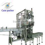 Servo Motor Case Packer From China