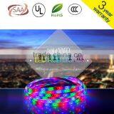 3014SMD LED Strip DC12V24v 5M/lot Waterproof IP20 IP68 240led/m RGBW