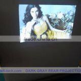 High-quality and Low-cost Holographic Transparent Film , Transparent Holographic Projection Film,Dark Grey Rear Projection Film thumbnail-1