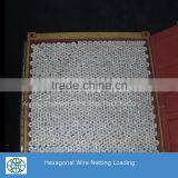 PVC Coated Wire Hexagonal Wire Netting For Chicken Wire thumbnail-4