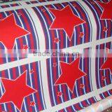 Inkjet Printed Stretcherd Canvas (digital Printing Canvas)