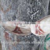 SEAFROZEN BLACK MARLIN DWT thumbnail-4