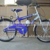 High quality hot selling adult bike with ISO9001