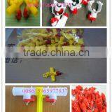 ZH-7D1 Poultry Feeders and Drinkers for Chicken ( Whatsapp : +86 159 6597 7837) thumbnail-5