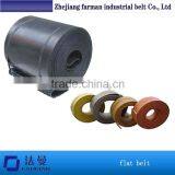 1.5mm Blue Green Flat And Conveyor Belts And Nylon Base Power Transmission Belt Used For Textile Machinery thumbnail-1