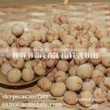Best Price Top Grade Flavored Squid Coated Peanut