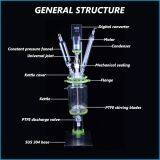 Chemical Double Layer Glass Agitated Tank Reactor