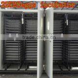 Large Size Egg Hatching Equipment for Chicken WQ-22528