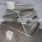 Egg Chicken Cage/poultry Farm House Design thumbnail-1