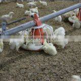 Poultry Farm Machine With Good Quality and Best Price thumbnail-1