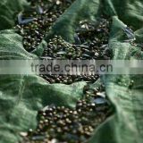 olive net(China manufacturer)
