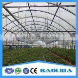 Vegetable Greenhouses for Sale 200 Micron Greenhouse Film/vegetable Seeds Greenhouse thumbnail-3
