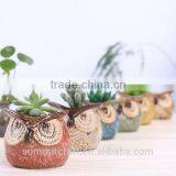 Succulent Plants Mini Owl Shape Ceramic Flower Pots thumbnail-2