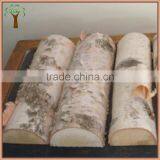 Artificial Birch Logs and Fake Birch Trunk for Indoor Decoration thumbnail-2