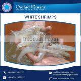 Premium Quality Natural Taste White Shrimps With Long Shelf Life thumbnail-5