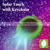 Fruit Shaped Solar Torch