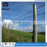 Single Strand and Double Strand Barbed Wire thumbnail-6