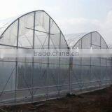Economical Plastic Film Multi Tunnel Greenhouse for Sale thumbnail-1