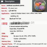 Mini Artificial Succulent Plants in Glass Bowl Potted Mini Succulents thumbnail-3