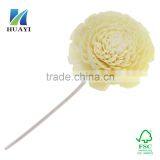 Rattan Stick & Sola Flower for Reed Diffuser thumbnail-4