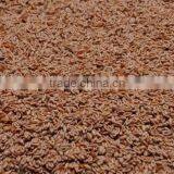 Indian Supplier of Psyllium Seed thumbnail-1