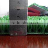 Environmental Protection Gold- Rush Grass thumbnail-1