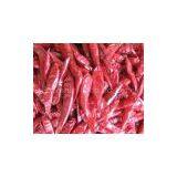 Chaotian r Chilli thumbnail-1