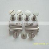 professional wholesale stainless steel screw bolt and nut