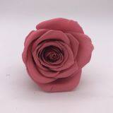 Top Quality Long Lasting Roses Real Preserved Roses Wholesale From Kunming Yunnan thumbnail-2