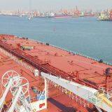 Tianjin To AUCKLAND FCL Transport (20GP/40GP/40HC/Special Container ) CIF thumbnail-2