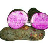 Fresh Yam Tubers Root From Vietnam