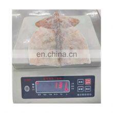 IQF Frozen Squid Fillet Skin on Wing on