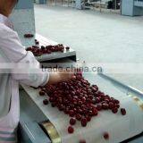 Automatic Vegetable Microwave Drying Machine thumbnail-5