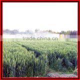 Farm Sprayer Weed Sprayer Tractor Sprayer thumbnail-3