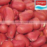 Shandong Red Peanut Kernels