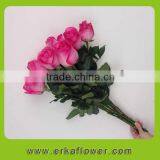 Cut Flower/Fresh Cut Flower/Rose/Rose Flower/Flower Rose for Wedding