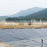 Geomembrana Hdpe Precio/hdpe Geomembrane Liner/waterproof Materials thumbnail-2
