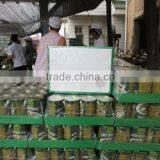 Fresh Corn for Sale Canned Sweet Corn Factory thumbnail-4