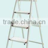 Single Straight Ladder With En131