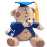 2015 Graduation Teddy Bear,graduation Teddy Bear,the Graduation Teddy Bear thumbnail-1