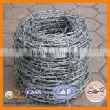 Low price of glavanized barbed wire for sale (direct factory)