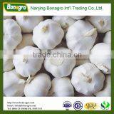 2014 new crop top Mesh bag garlic Natural garlic Alibaba China