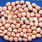 Peanut With Shell thumbnail-4