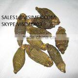 BETEL NUT thumbnail-3