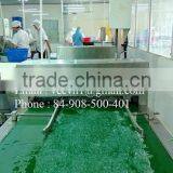 Vietcoco International Company Limited company overview - view 1 thumbnail