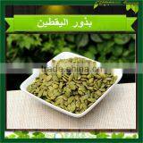 China Pumpkin Kernel High Quality Big Quantity Grade AA thumbnail-6