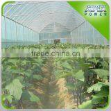 Sky Window With Manual Roller For Film Greenhouse thumbnail-1