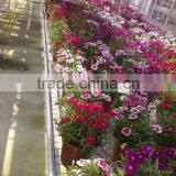 Fixed Greenhouse Nursery Bench thumbnail-1